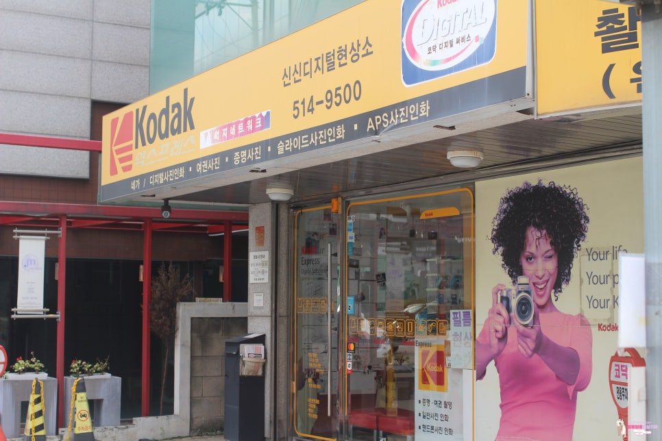 신신칼라 이미지