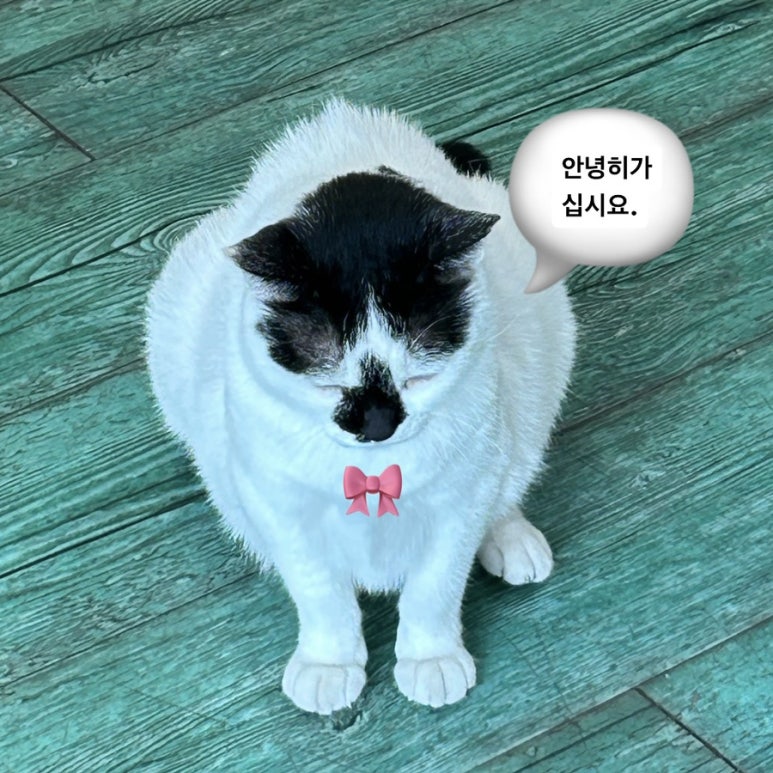 성림수도 이미지