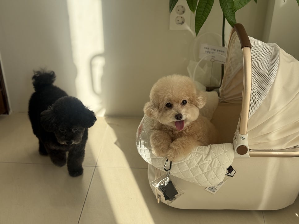 우브커피 이미지