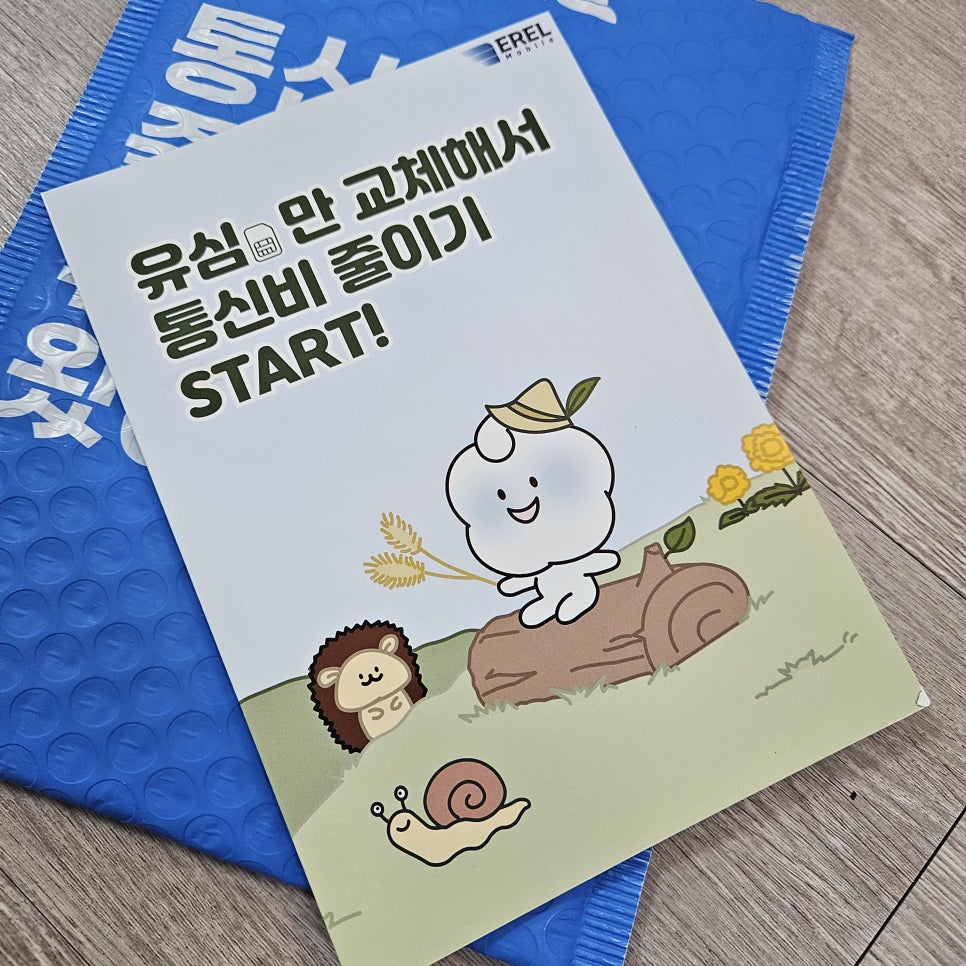 에르엘 이미지