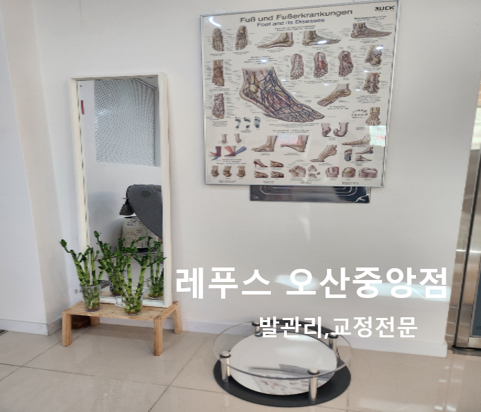레푸스오산 이미지