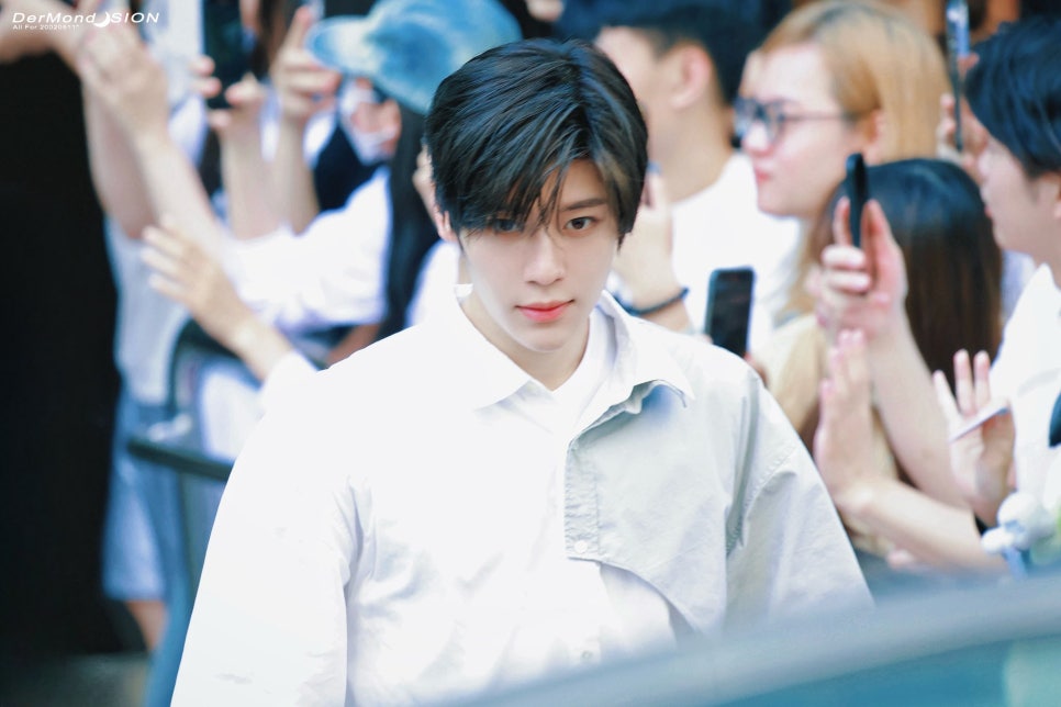위시포포 이미지