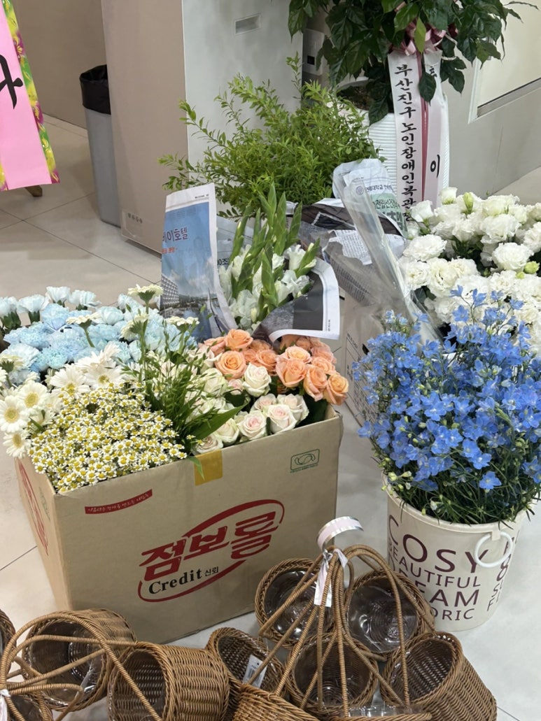 오니플레르 이미지
