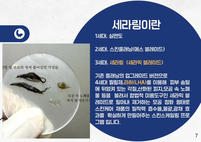 토탈뷰티(봄) 이미지