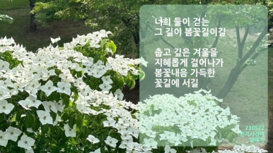 오늘살롱 이미지