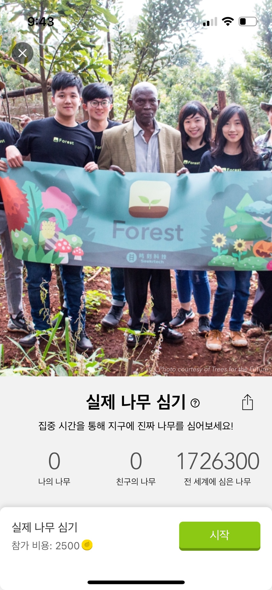 포레스트(forest) 이미지