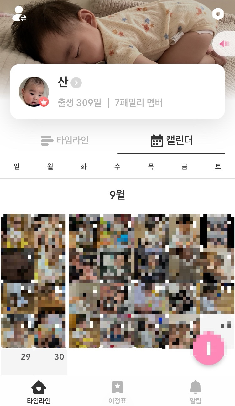 베베아카 이미지