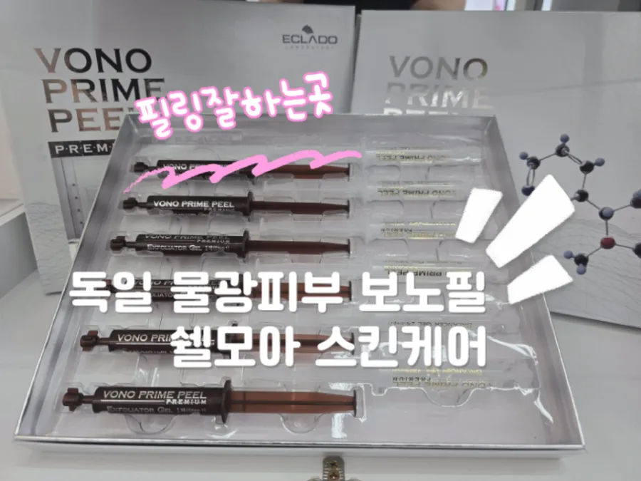 쉘모아 이미지