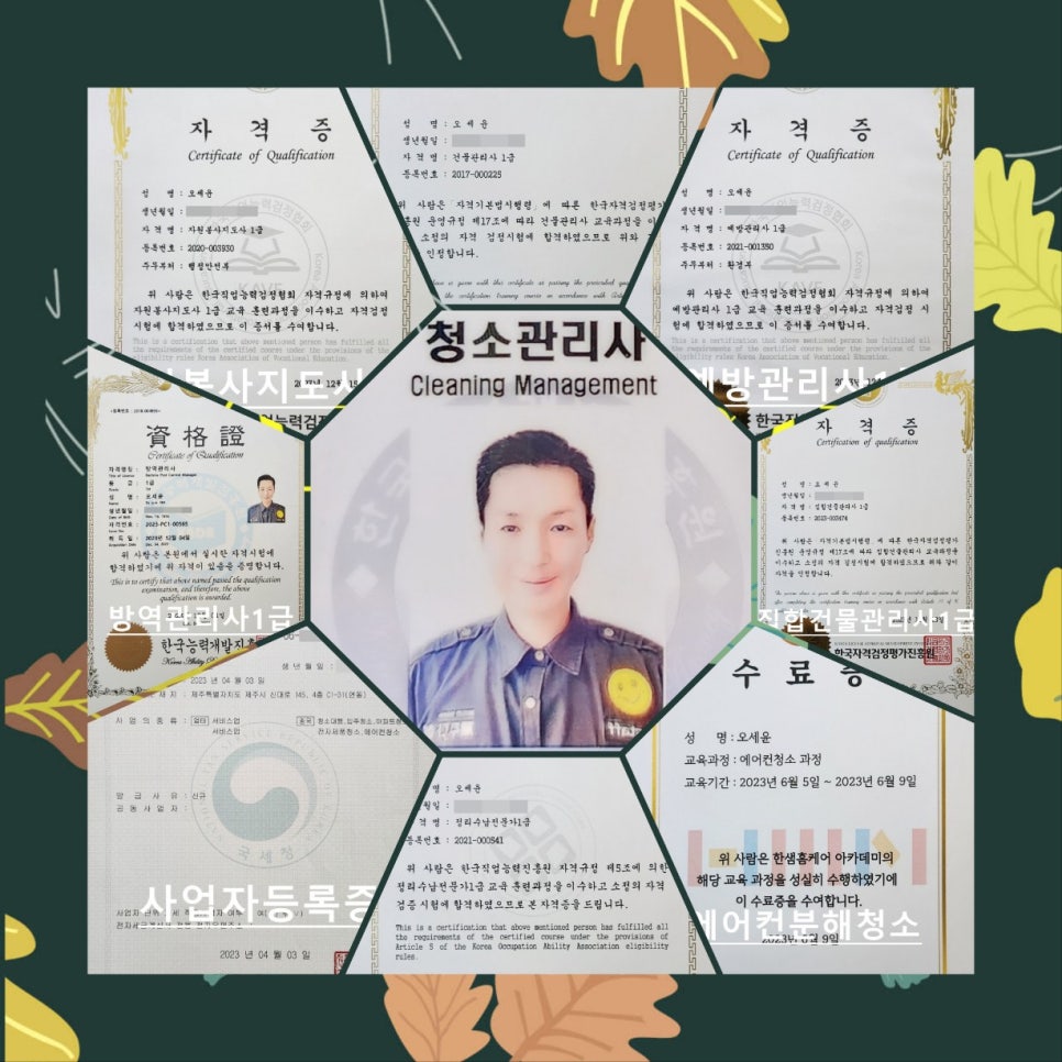 다청소 이미지