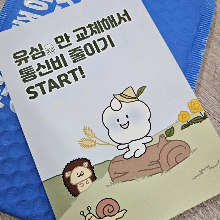 에르엘 이미지