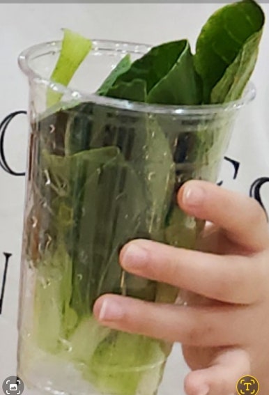 피노키오 유아숲체험원 이미지