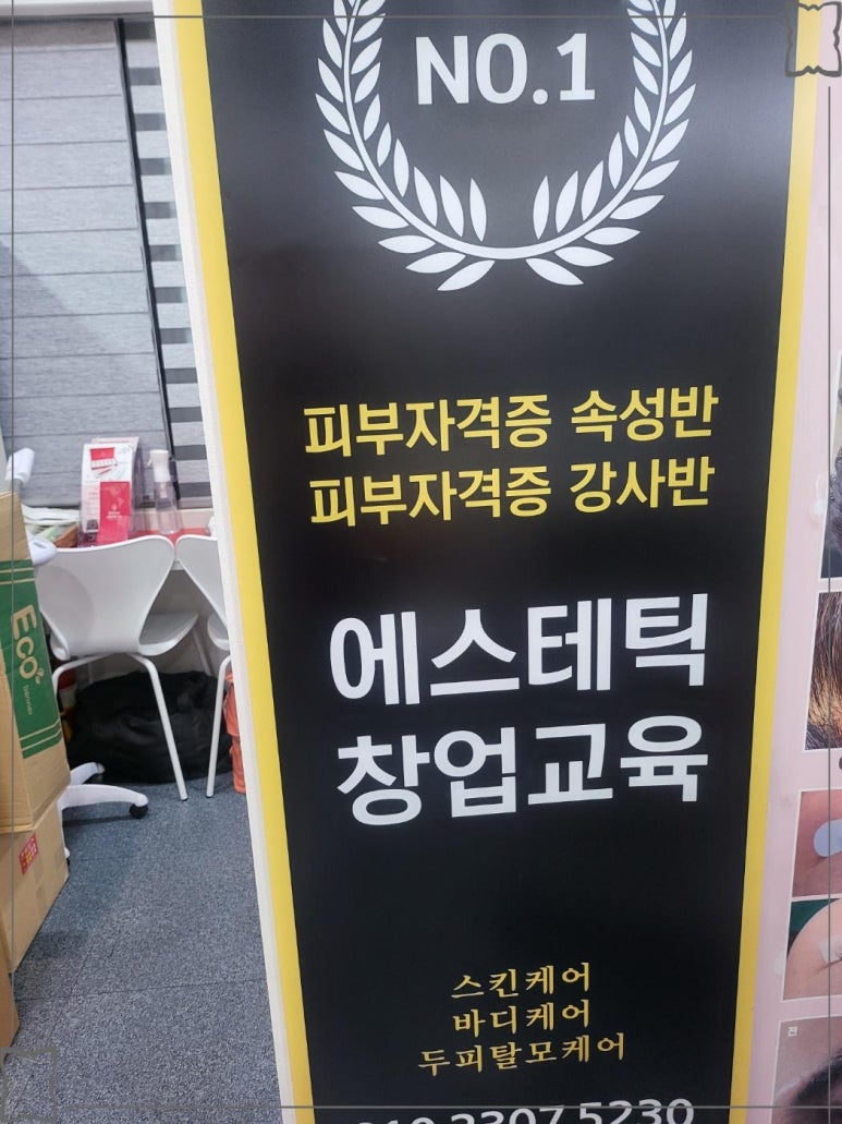 비비테라 이미지