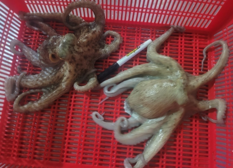 삼포수산 이미지