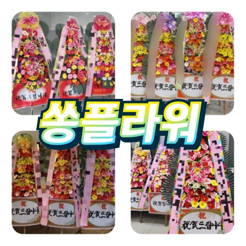 메르플라워 이미지