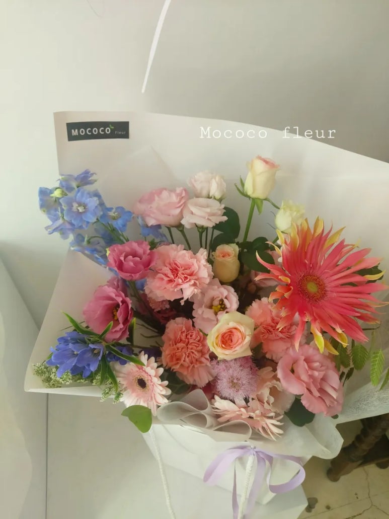 모코코플레르 이미지