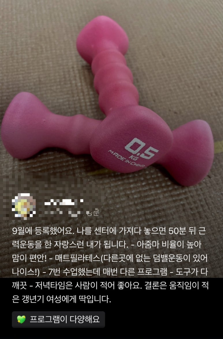 채니핏 이미지