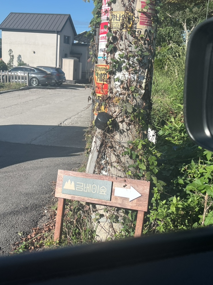 금베이숲 이미지