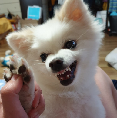 아이엔맘 이미지