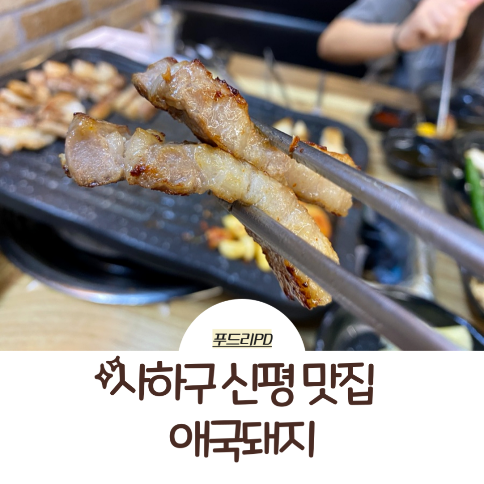 애국돼지 이미지