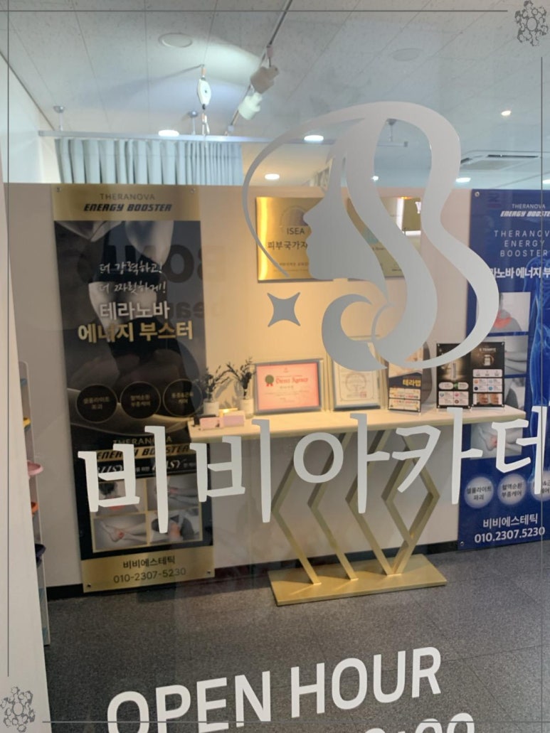 비비테라 이미지