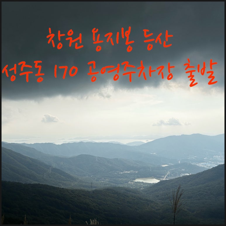 성산 유아숲체험원 이미지