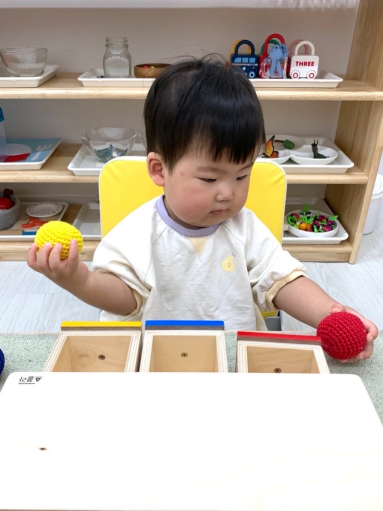 스콜라몬테소리고양 이미지