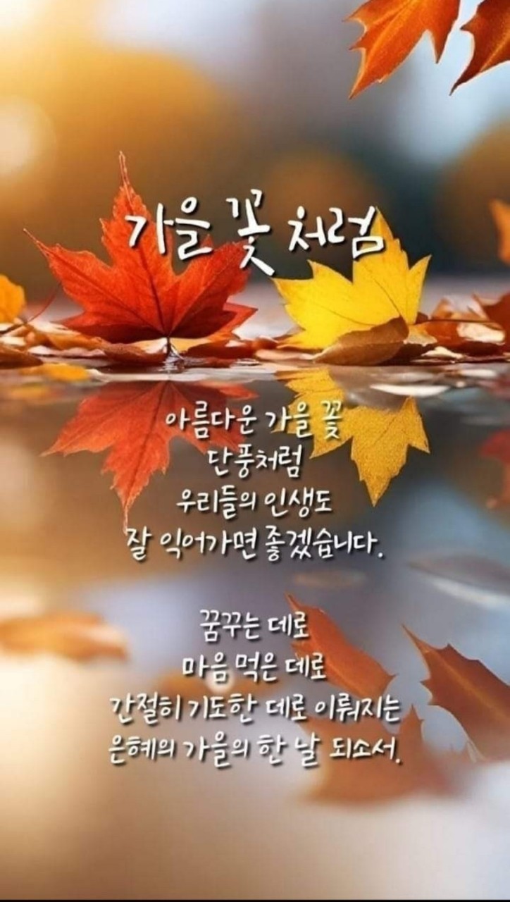 낭만포차한식점심부페 이미지