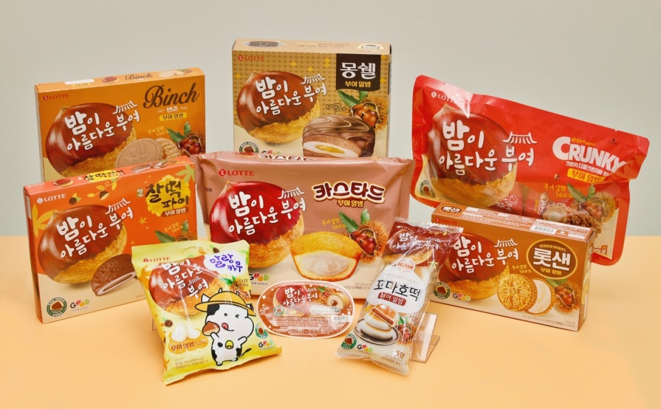 부여익스프레스 이미지