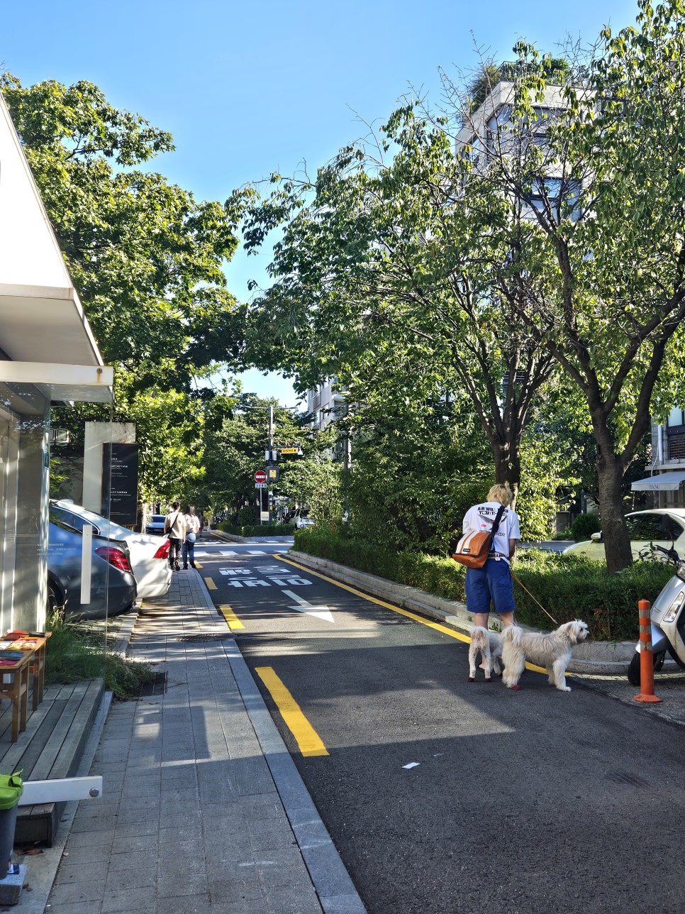 위에트연남 이미지