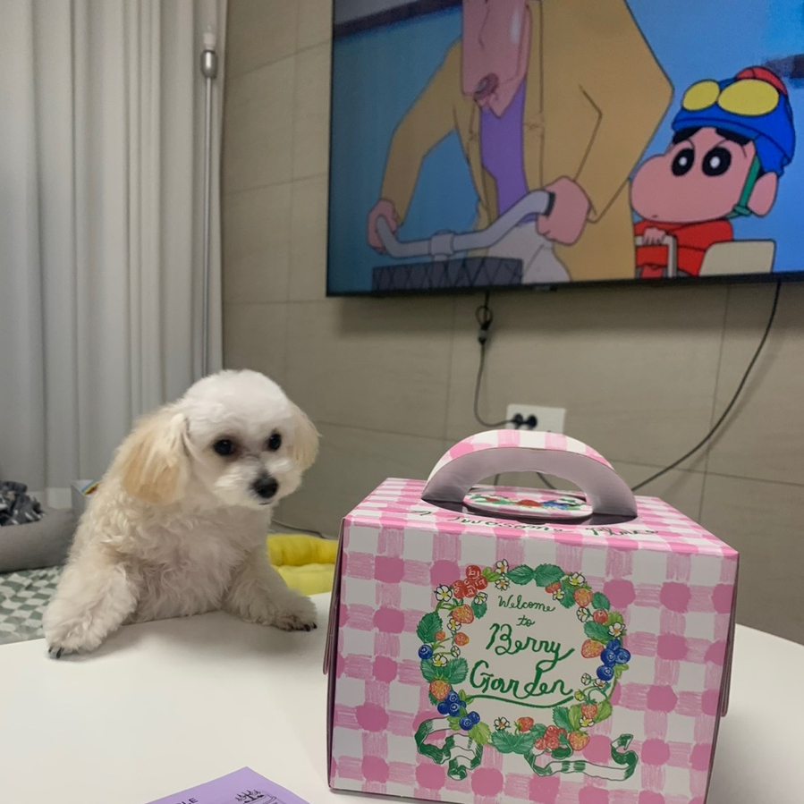 카페 다가티 이미지