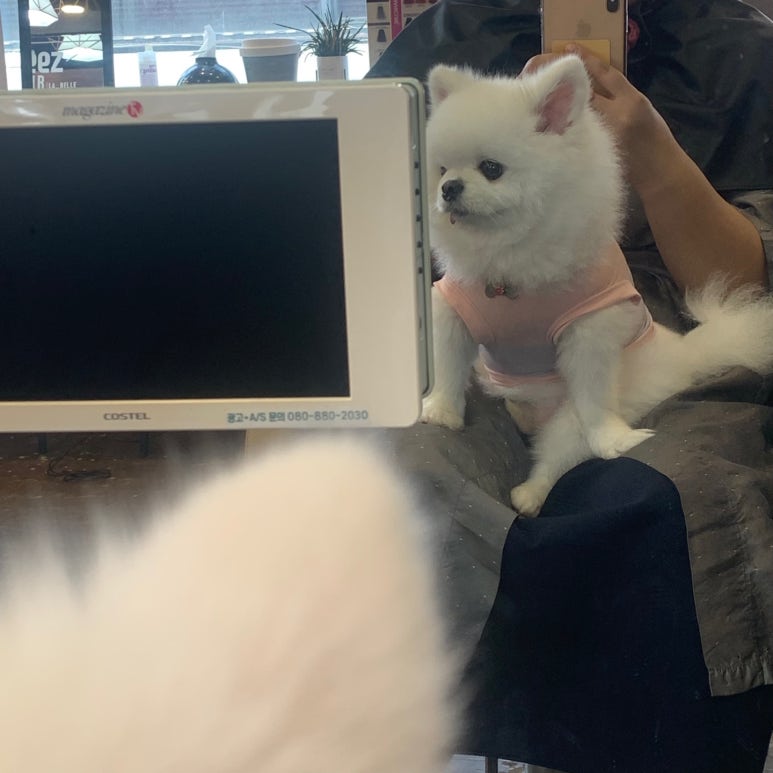 리즈헤어샵 이미지