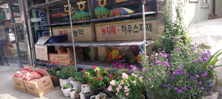 한농종묘 이미지