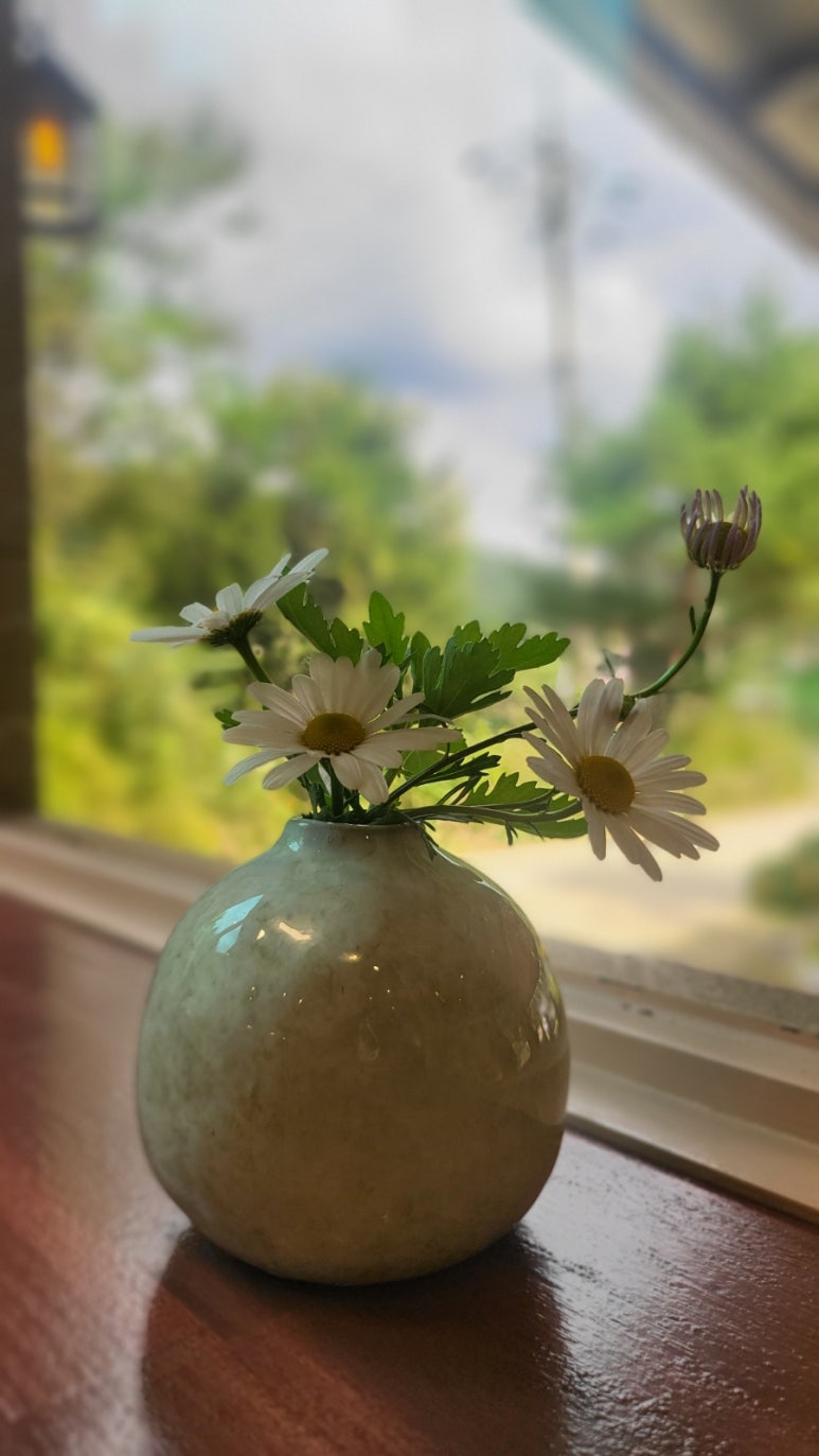 화천코다리 이미지