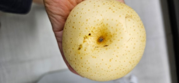 대남농원 이미지