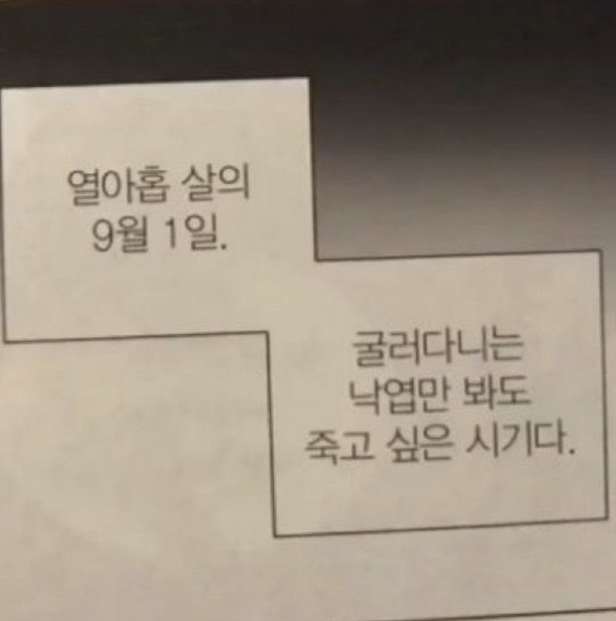 별빛언덕 이미지