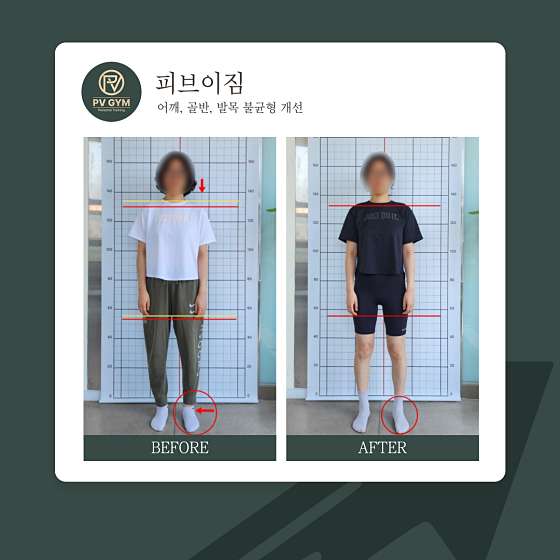 피브이짐 이미지
