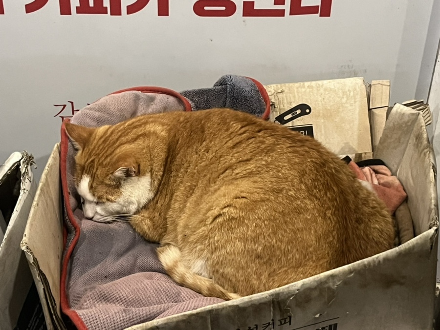 지방시버거 이미지