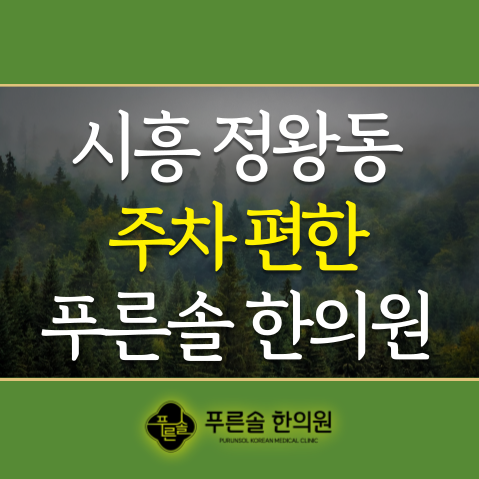 푸른솔한의원 이미지