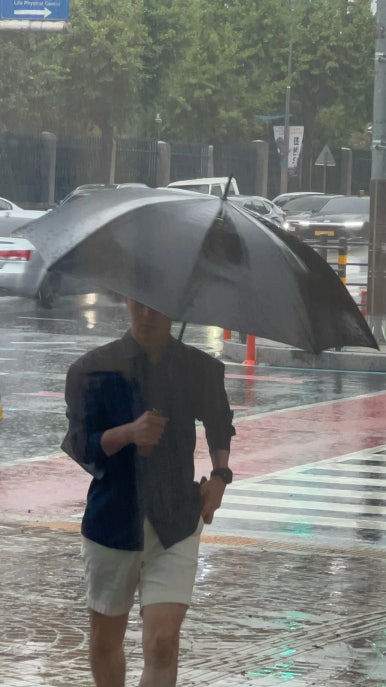 동은이꼬마김밥 상남본점 이미지