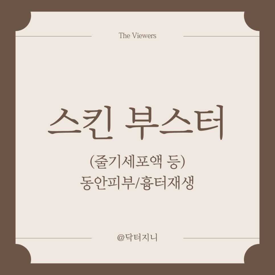 비앤브이 이미지