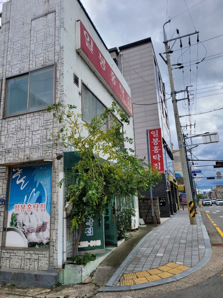 일봉홍탁집 이미지