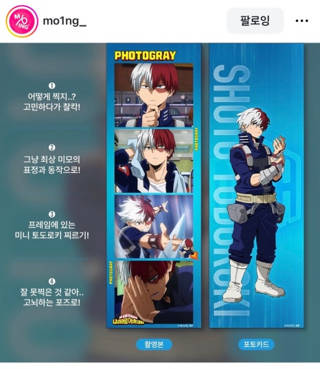 포토그레이 이미지