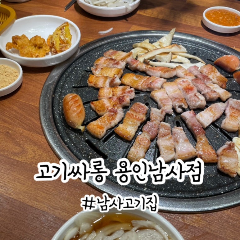 남사고기 이미지