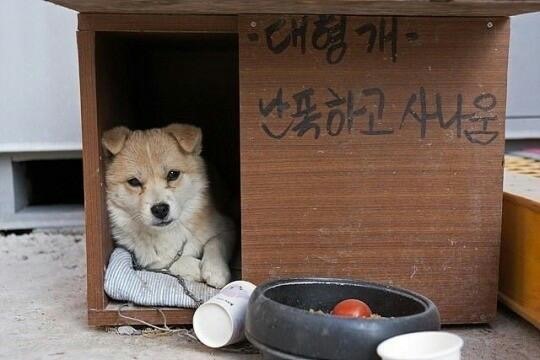 짐 이미지