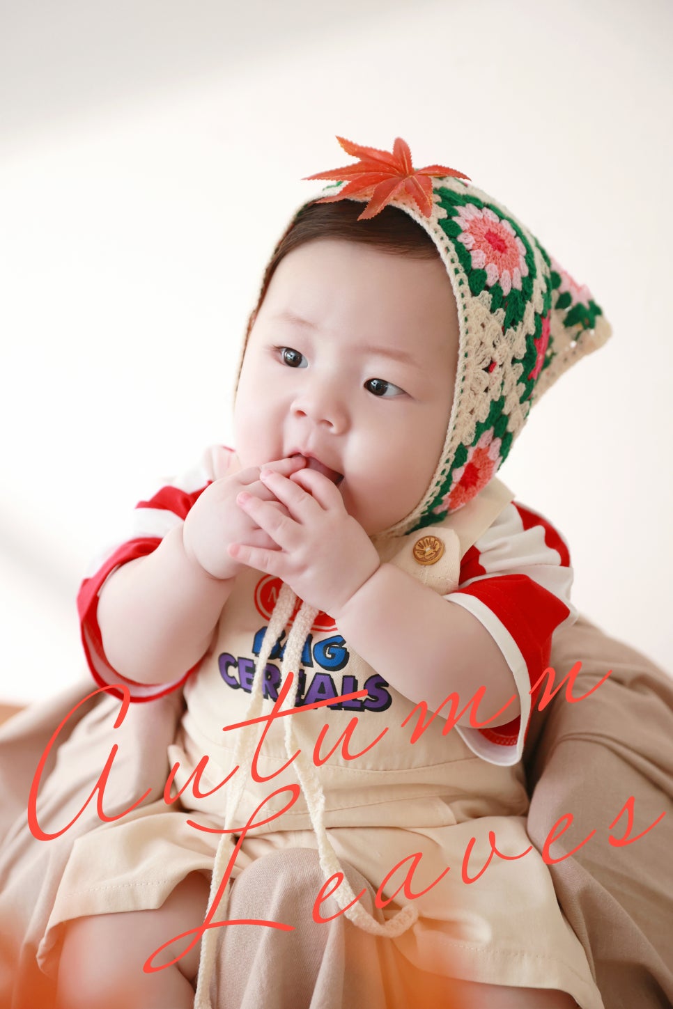 옵튼스튜디오 이미지