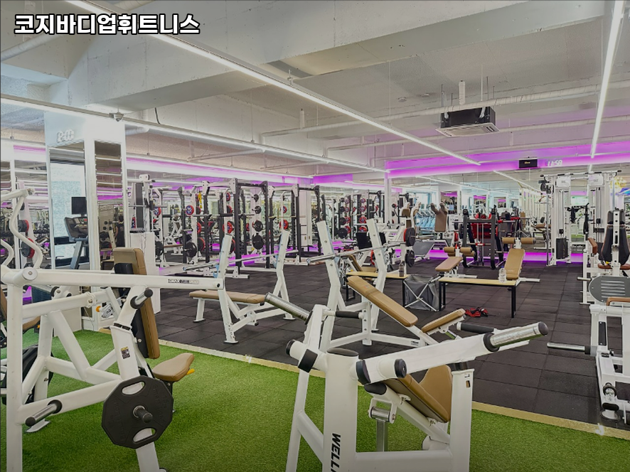 바디업휘트니스 이미지