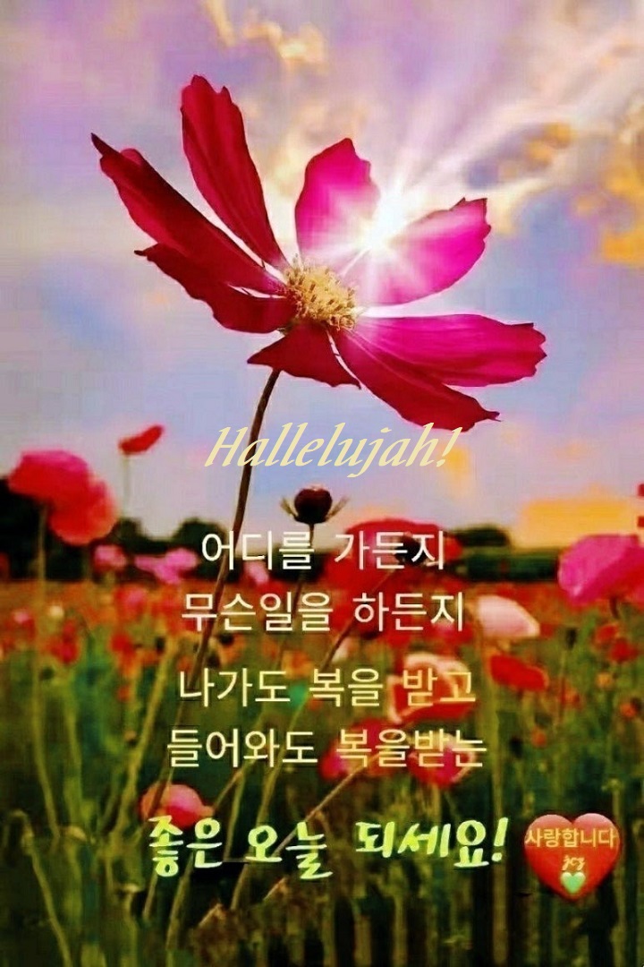 다은 이미지