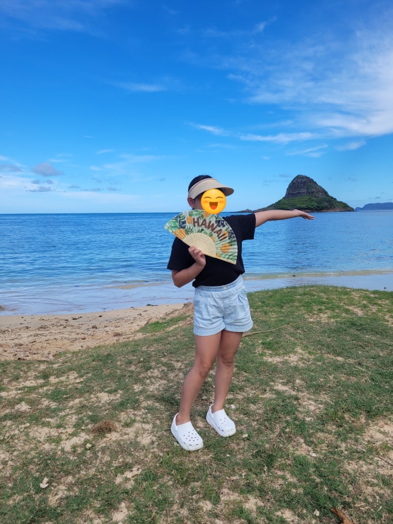 알로하 이미지