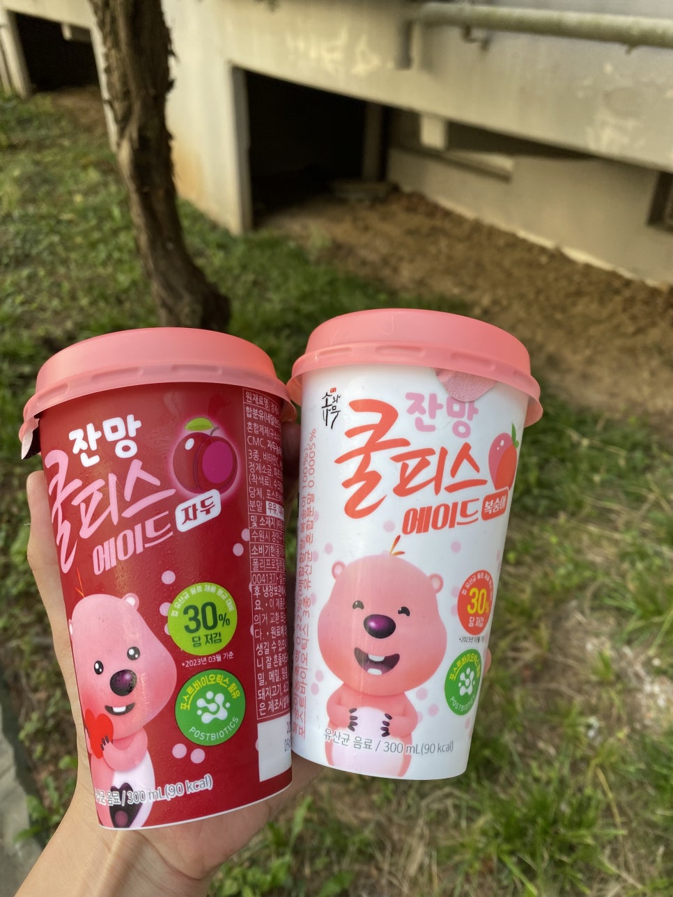 다미클린 이미지