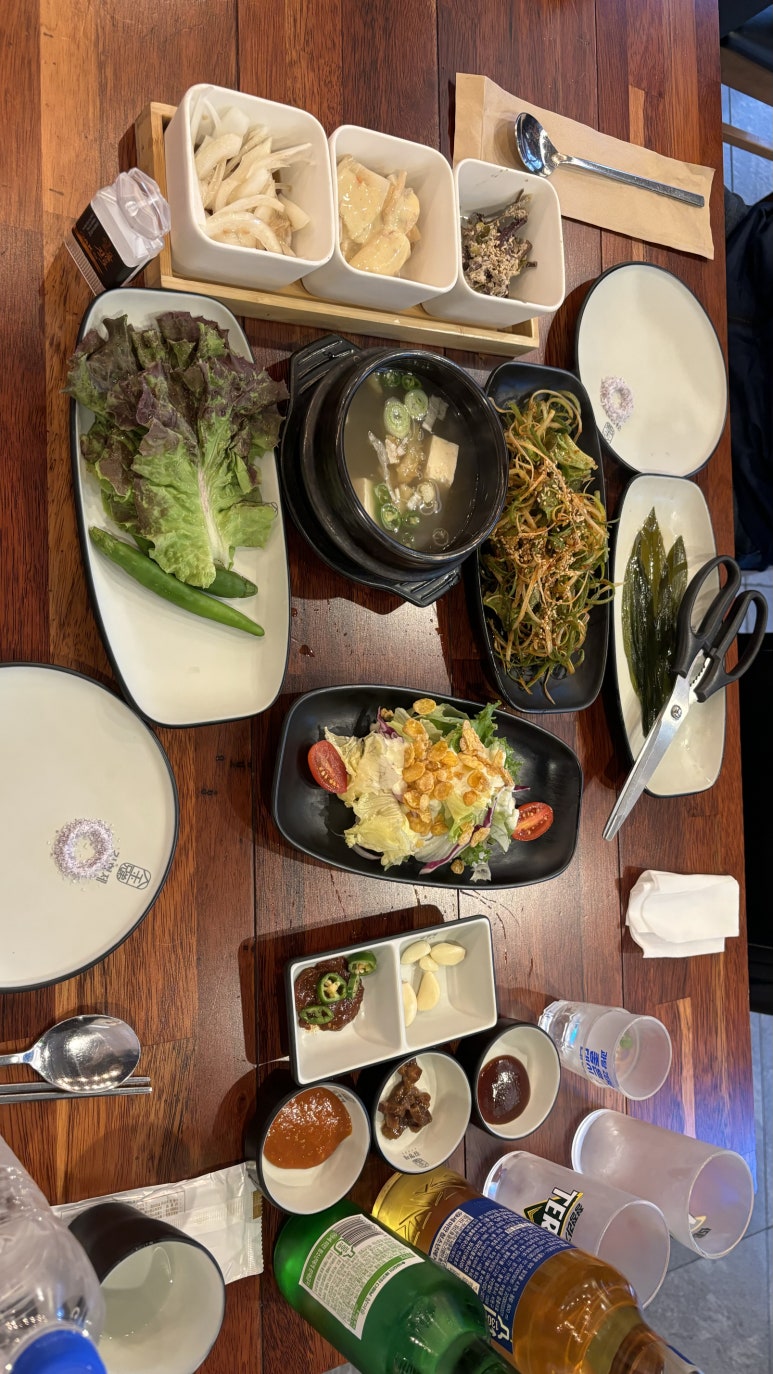 스텔라지 이미지